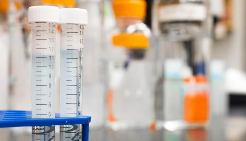 elaborato Maturità 2021 chimica