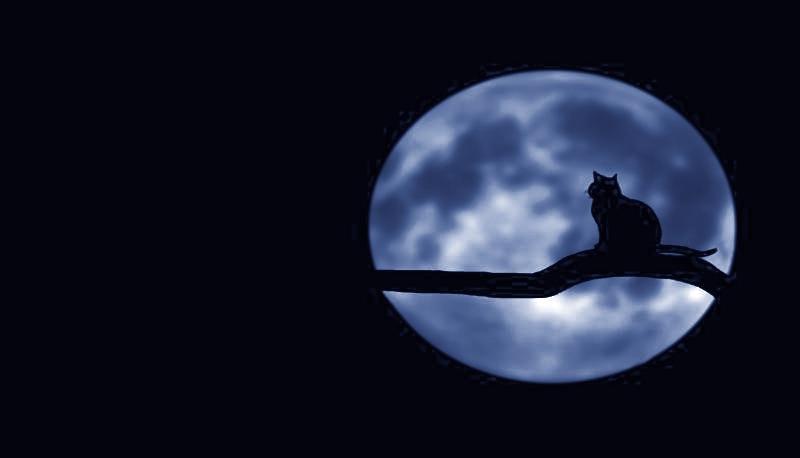 Luna blu ad Halloween 2020