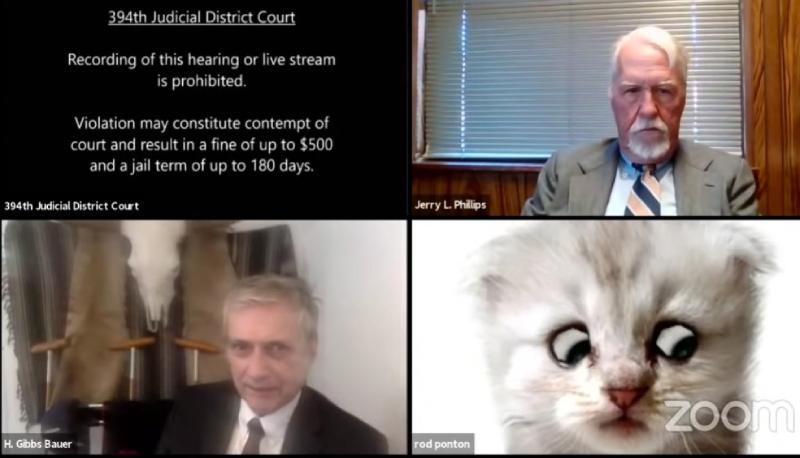 Video virale in Texas: da un'udienza civile virtuale ad una Cat Zoom grazie ad un filtro inserito erroneamente