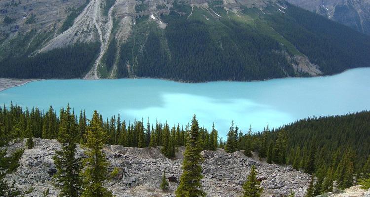 Canada articolo