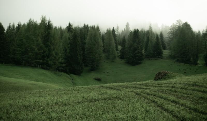 Boom di scuole clandestine no-vax nei boschi in Alto Adige