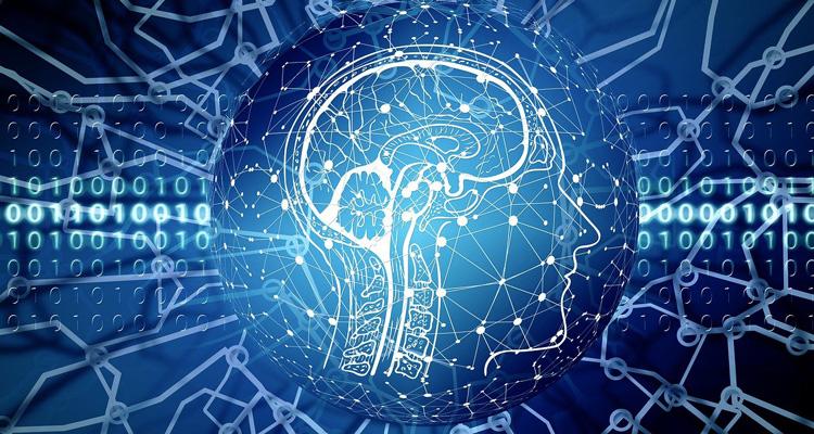 Esplorazione dell'intelligenza: fattori, misurazione e sistema nervoso articolo