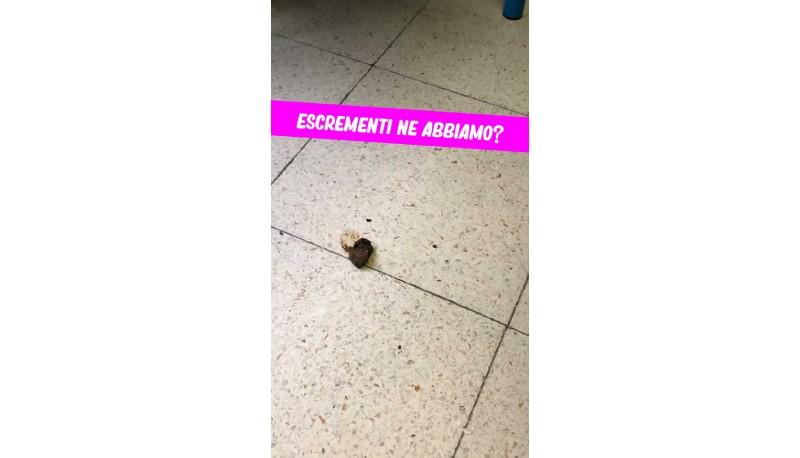 escrementi in classe