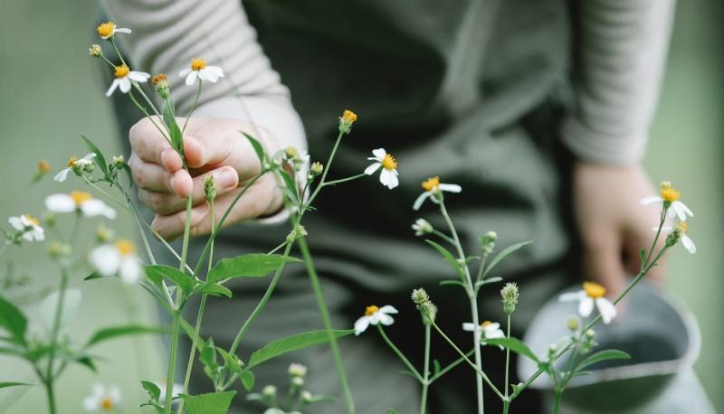 Cura dell'ambiente