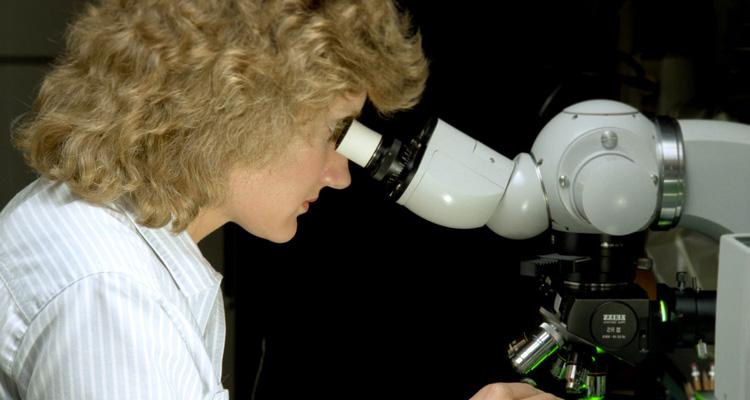 Esplorazione dei metodi di ricerca psicologica e sociale articolo