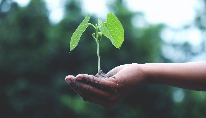 competenze green e digitali