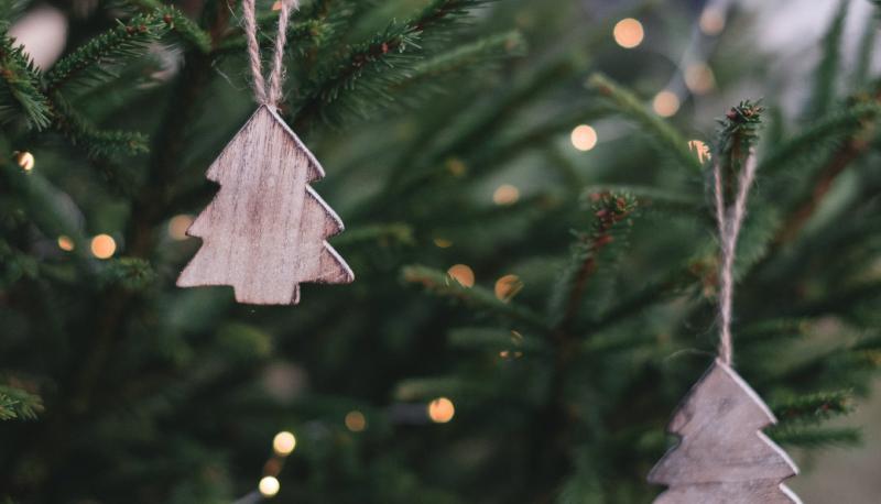 Come fare un albero di Natale ecologico