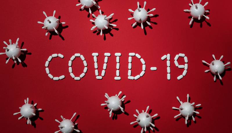 differenza tra endemia e pandemia