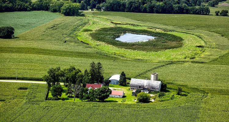 Azienda agraria articolo