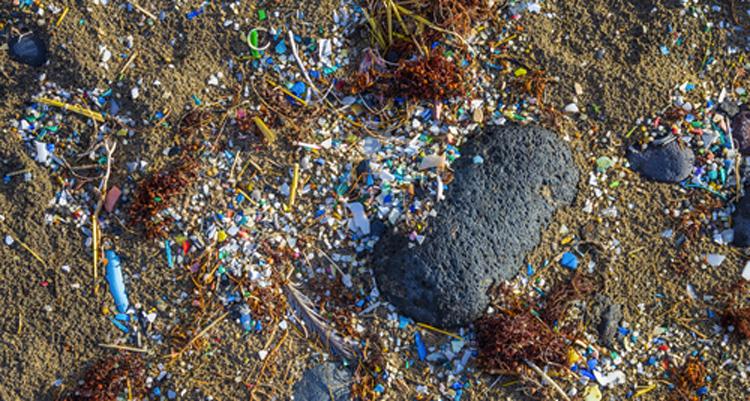 L'inquinamento: una minaccia globale per l'ambiente e la salute umana articolo