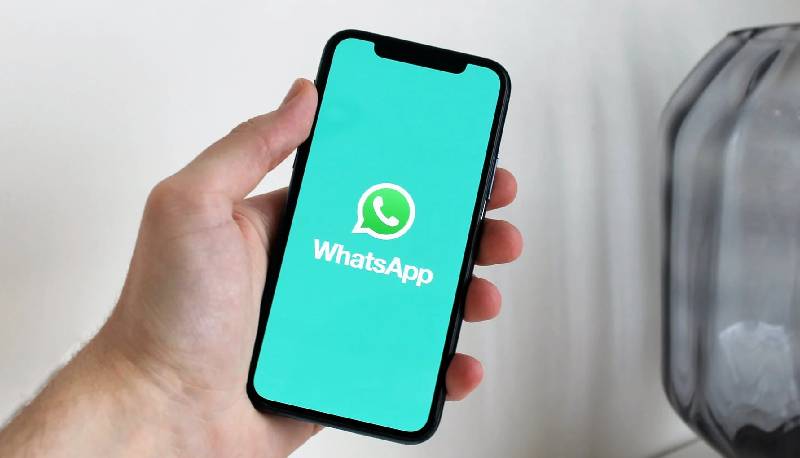 in arrivo i sondaggi nei gruppi whatsapp