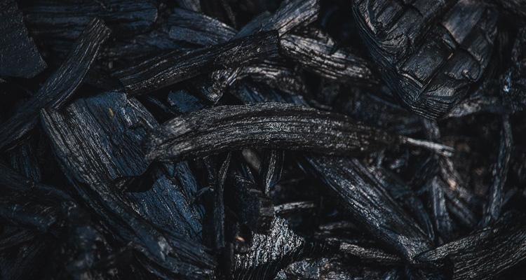 Ciclo del carbonio articolo