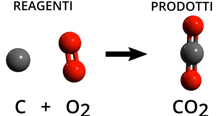 Ciclo del carbonio articolo