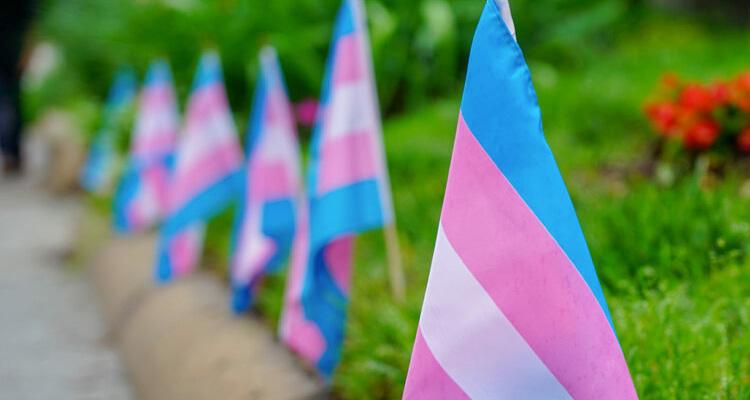 Cisgender: aspetti principali, riconoscimento ed evoluzione articolo