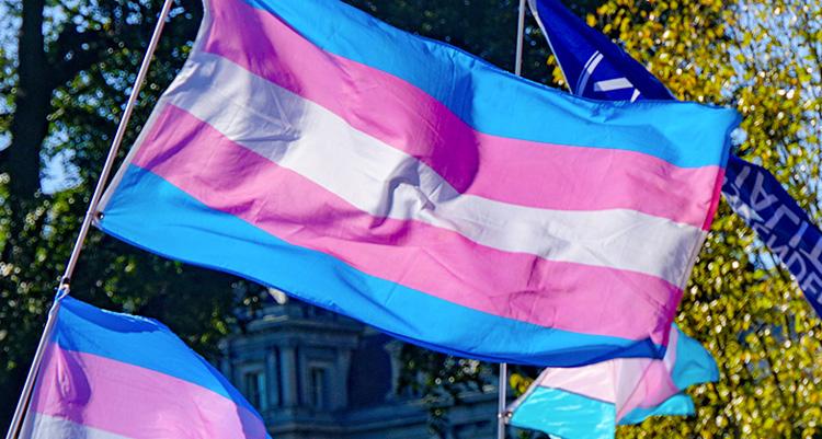 Transgender: definizione, descrizione e considerazioni articolo