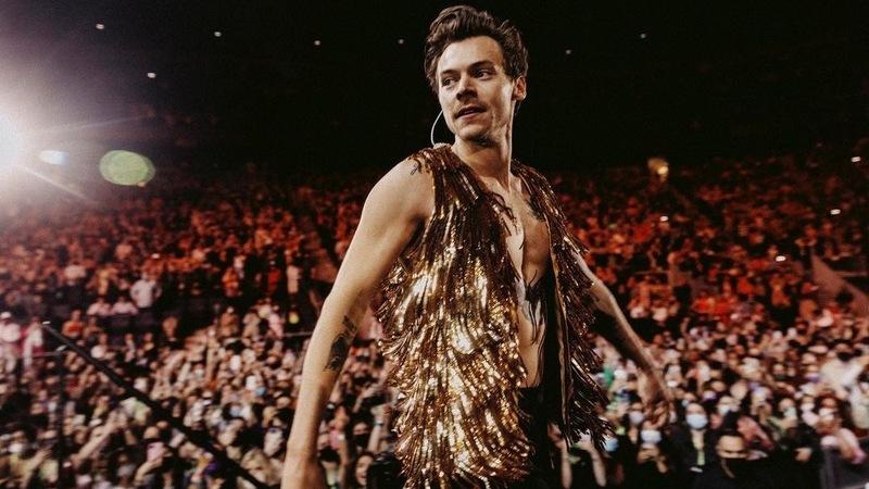 Harry Styles università