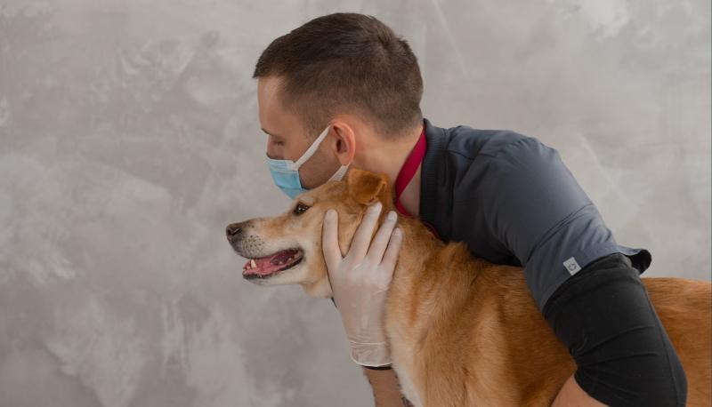La data del test di ingresso 2022 in Veterinaria e le date di pubblicazione dei risultati e della graduatoria