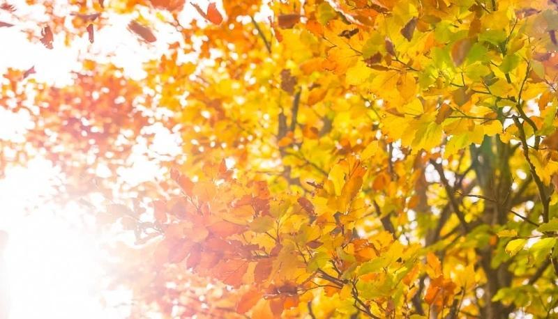equinozio d'autunno 23 settembre