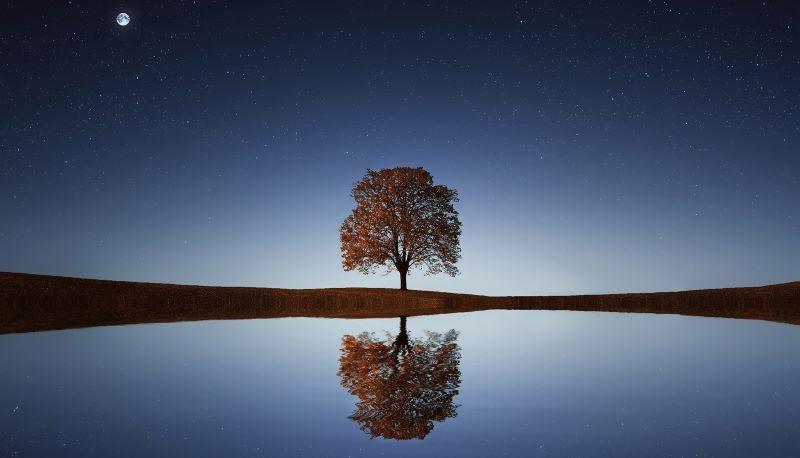 Cosa succede durante il solstizio d’inverno