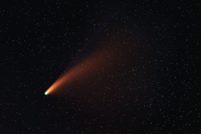 cometa neanderthal