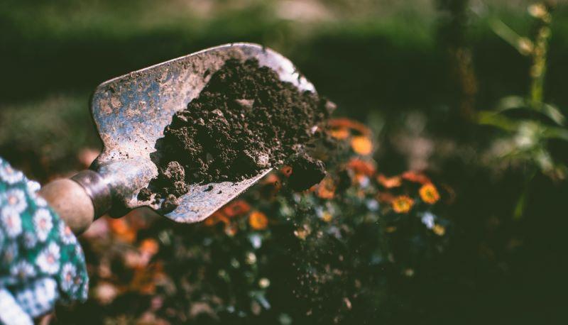 Alunno aggredisce un compagno di scuola con una pala da giardino