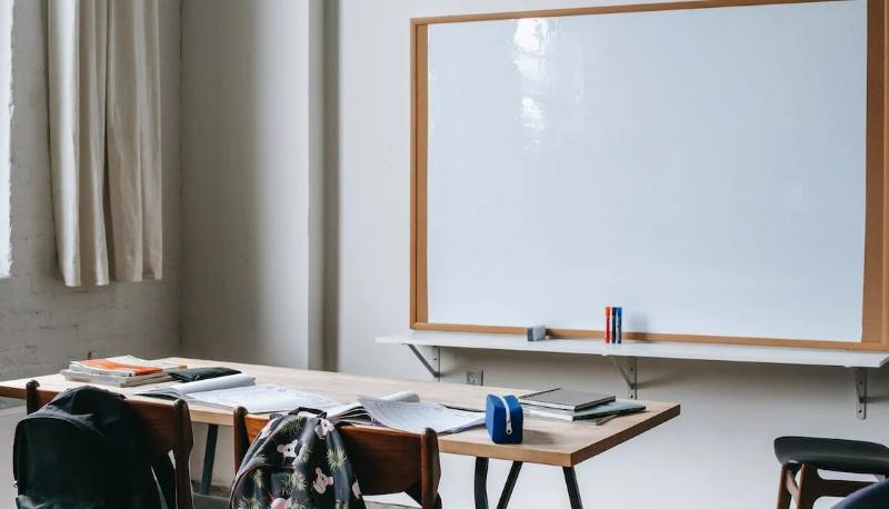 istat neet competenze scolastiche