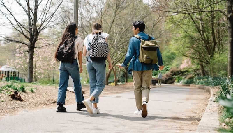 studenti diplomati orientamento gi group