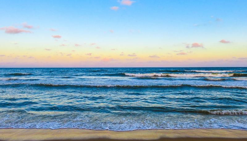 Ritorno a scuola con viaggio al mare e senza cellulari