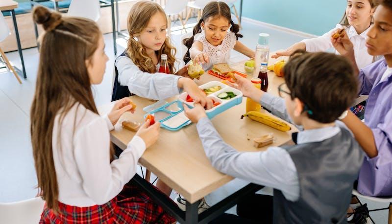 Ispezioni dei Nas nelle mense scolastiche: scarsa igiene e violazioni, il 27% presenta irregolarità