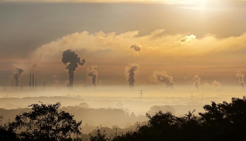 Tutto ciò che c'è da sapere sulla COP28 a Dubai