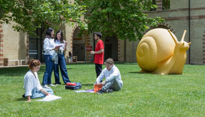 Università Politecnica delle Marche, l’Ateneo al Top delle classifiche occupazionali che punta sull’innovazione: scopri i corsi di laurea