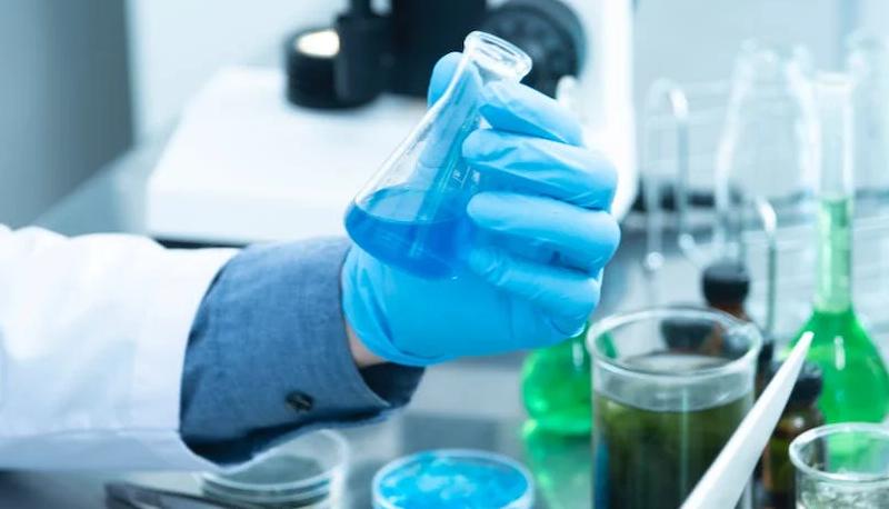 commissari esterni maturità 2024 chimica materiali