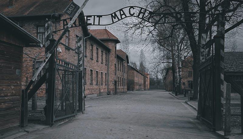 Collegamenti Maturità 2024 sulla Shoah articolo