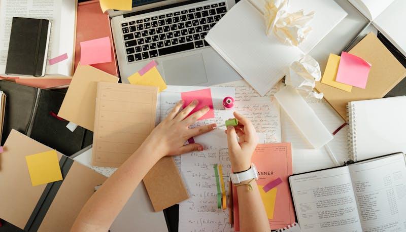 Struttura dell'E-Portfolio: una guida per studenti su parti e sezioni articolo