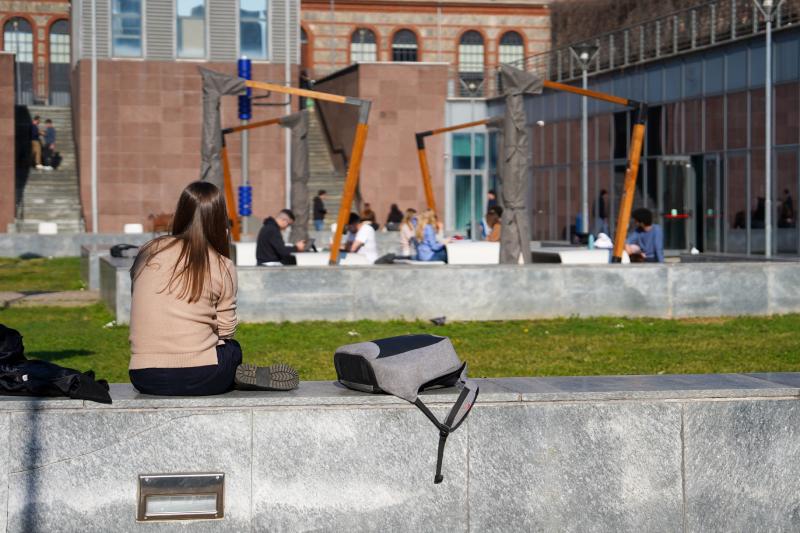 Studia al Politecnico di Torino e trova lavoro dopo la laurea: scopri i corsi che valorizzano il tuo talento articolo