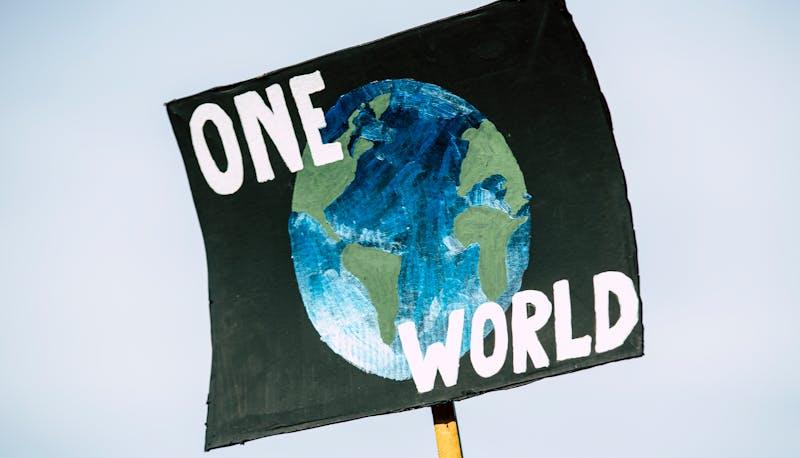 Cambiamento climatico, incontro social sull'educazione civica: anche la scuola può fare la sua parte articolo