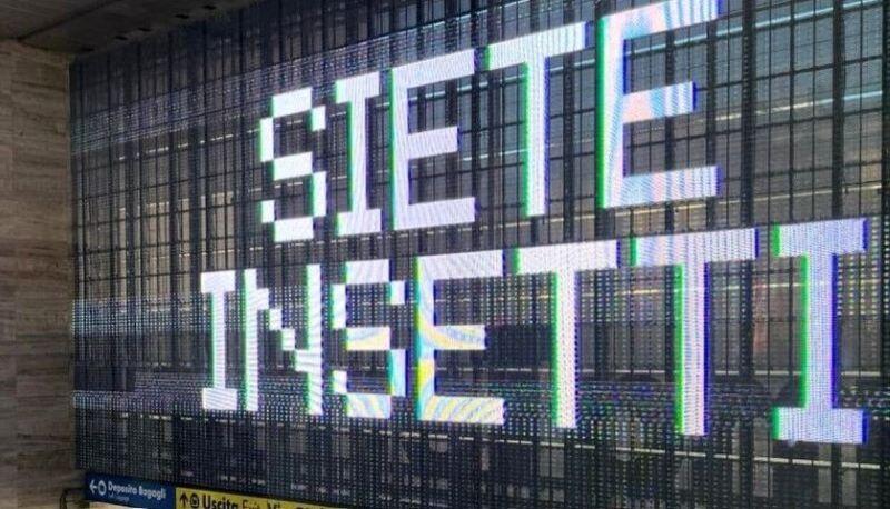 "Siete Insetti", cosa significa la scritta apparsa nelle stazioni italiane articolo