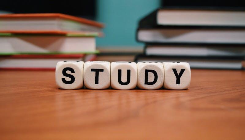 Studiare allunga la vita del 2% ogni anno: lo dice la scienza articolo