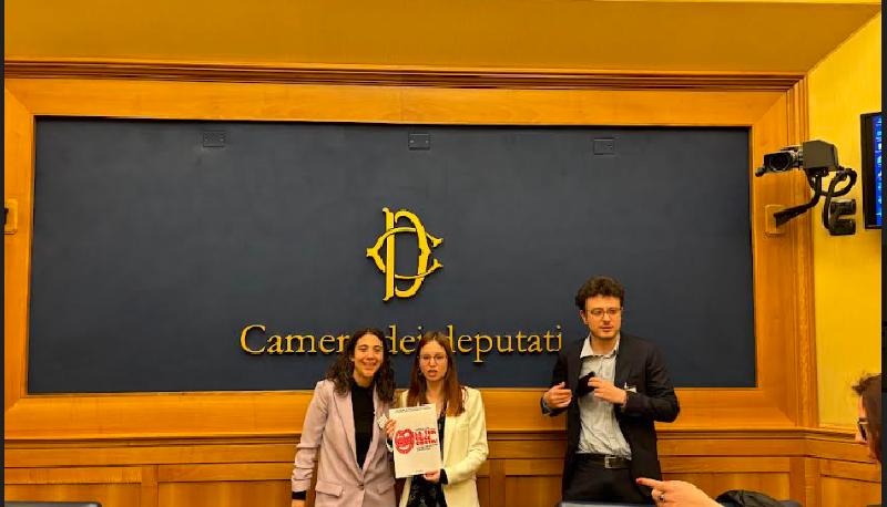 Università, gli studenti presentano alla Camera i risultati dell'inchiesta sulla violenza di genere: "Problema sistemico, occorrono più presidi antiviolenza" articolo