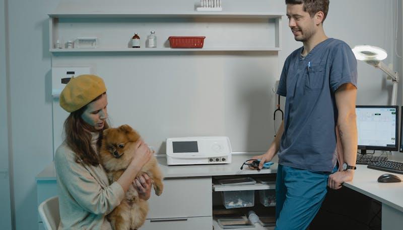 Cane dal veterinario