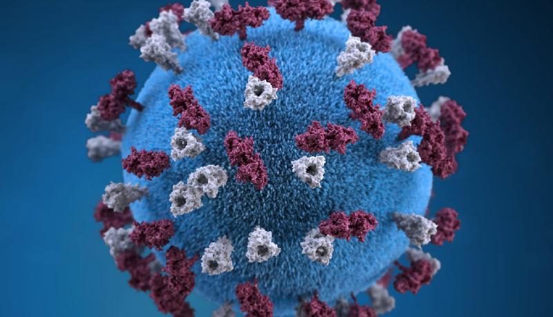Cosa sappiamo sull'epidemia di morbillo in Italia articolo