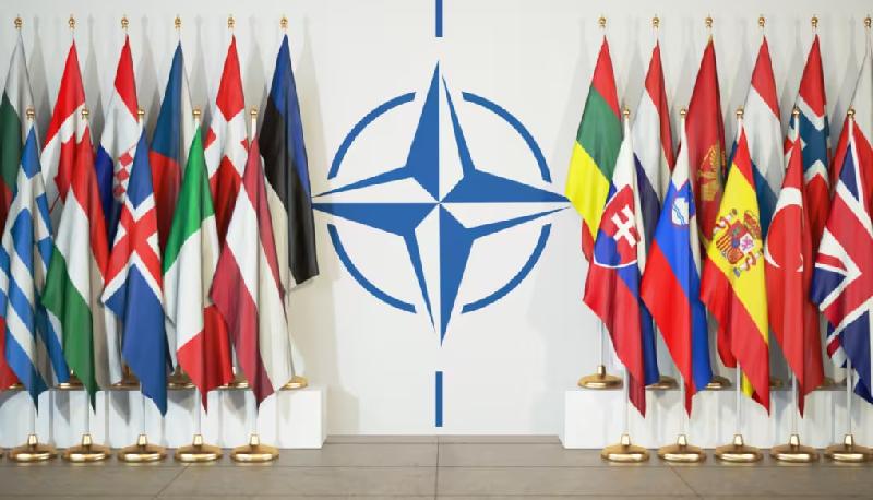 Il Ripassone: 75 anni della NATO, quando e come è nata articolo