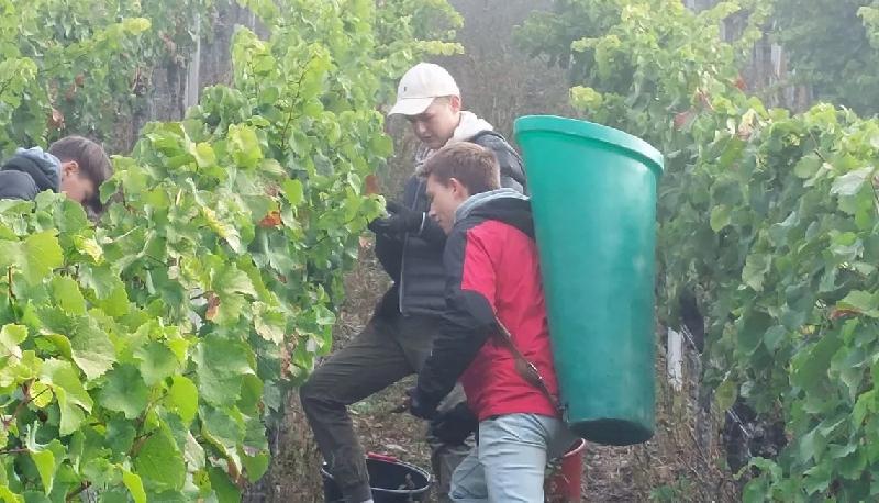 La classe che ha fatto "Il vino della Maturità" articolo