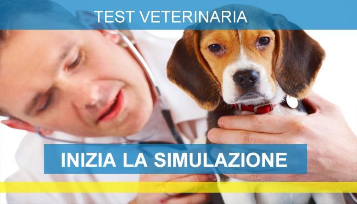 simulazioni test veterinaria