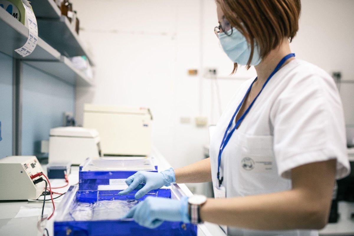 Salvare una vita con la donazione di sangue e di midollo: le cose da sapere e le storie di chi l’ha fatto articolo