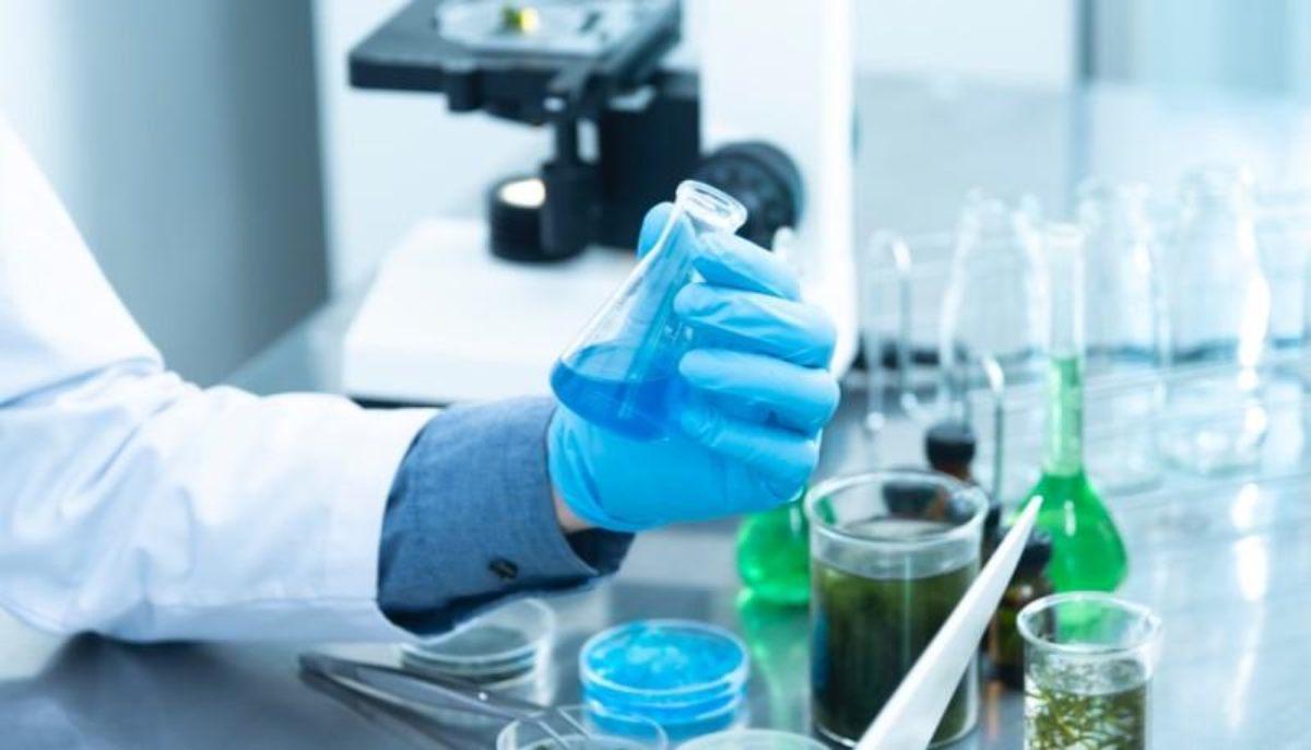 lavoro dopo la laurea in biotecnologie