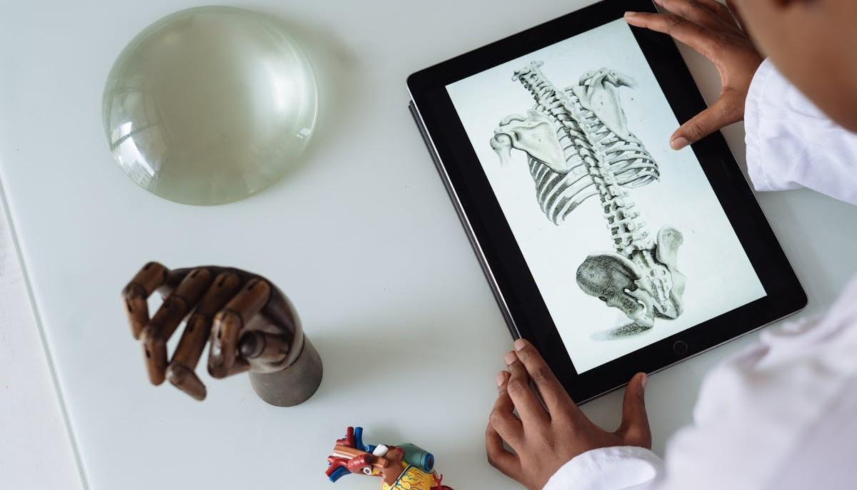 Studente studia in attesa di iscriversi alla graduatoria di Medicina 2024