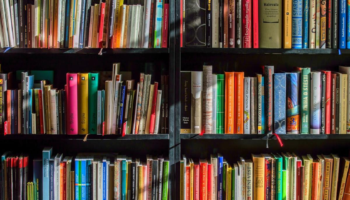 Libri usati a Reggio Emilia, dove vendere e comprare libri scolastici: mercatino e librerie articolo