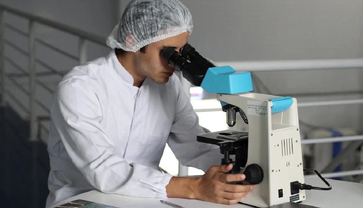 Graduatoria Medicina 2024, da oggi 29 luglio domanda di inserimento e scelta delle sedi