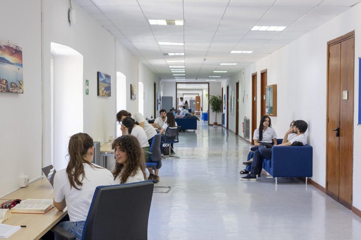 Scuola Superiore Meridionale: prendi laurea e master in un colpo solo, studi gratis con vitto e alloggio e borsa di studio inclusi articolo